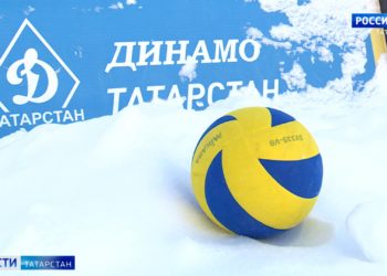 Семья из Мамадышского района с нуля возвела современный молочный комплекс