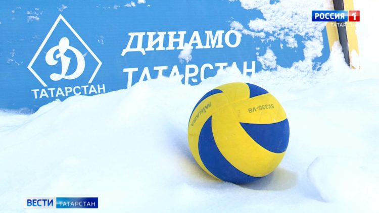 Семья из Мамадышского района с нуля возвела современный молочный комплекс