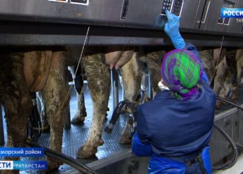 В 2021 году за нарушения в госзакупках УФАС РТ вынесла предписаний на 4 млн рублей