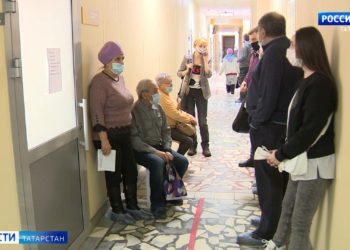 Казанцы из-за стаи агрессивных собак вынуждены ходить с электрошокером