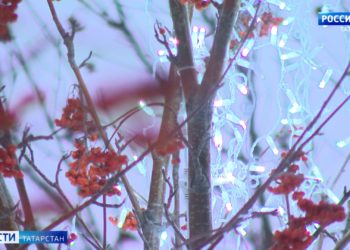 Новый год — новые тарифы: перевозчики Казани вновь просят поднять стоимость проезда в общественном транспорте