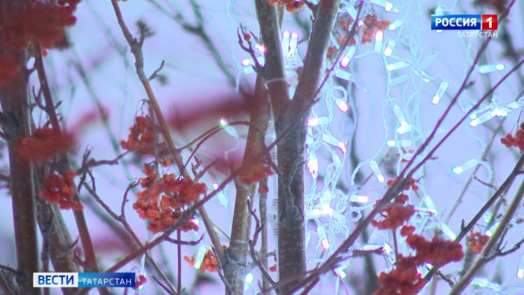 Новый год — новые тарифы: перевозчики Казани вновь просят поднять стоимость проезда в общественном транспорте