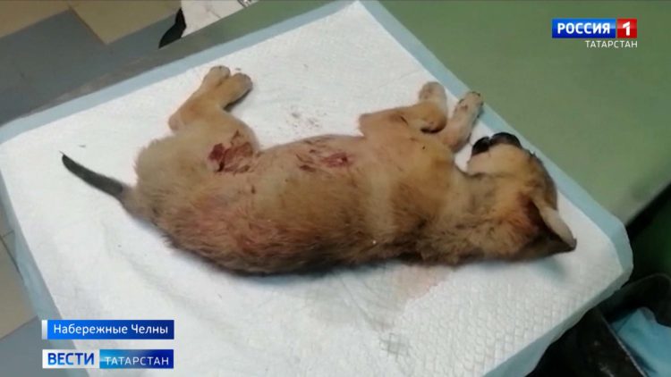 Роспотребнадзор по РТ: в Татарстане в ближайшие месяцы не будут ослаблять антиковидные ограничения