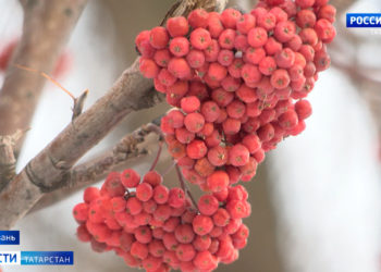 На Татарстан надвигаются морозы до -25 градусов и сильный ветер