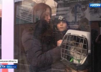 Волонтеры Татарстана помогут эвакуированным из Донбасса и Луганска