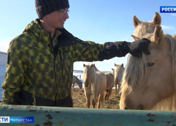 В казанском IT-парке прошел «Робосабантуй»