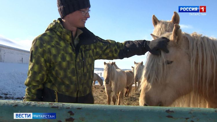 В казанском IT-парке прошел «Робосабантуй»