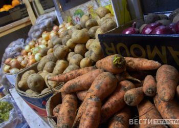 Жителей Татарстана призвали не создавать искусственный ажиотаж на продукты