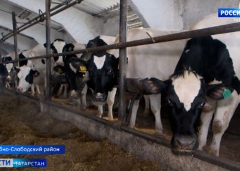 Крестьянско-фермерское хозяйство Рыбно-Слободского района готово к весенним работам