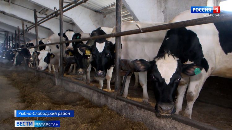 Крестьянско-фермерское хозяйство Рыбно-Слободского района готово к весенним работам