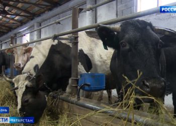 Минниханов: Нужно сделать всё, чтобы КАМАЗ работал в новых условиях и выполнил все планы