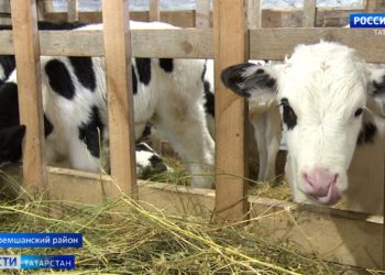 В Татарстане в этом году темпы строительства серьезно уменьшатся