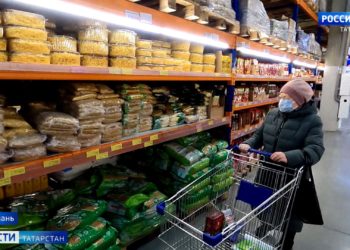 «В наличии все имеется»: В Татарстане стартовали сельскохозяйственные ярмарки