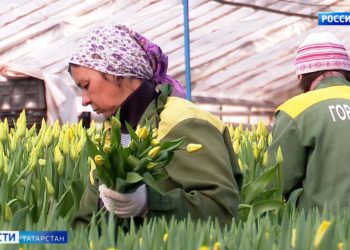 Жители Салмачи и Куюки жалуются на огромные пробки