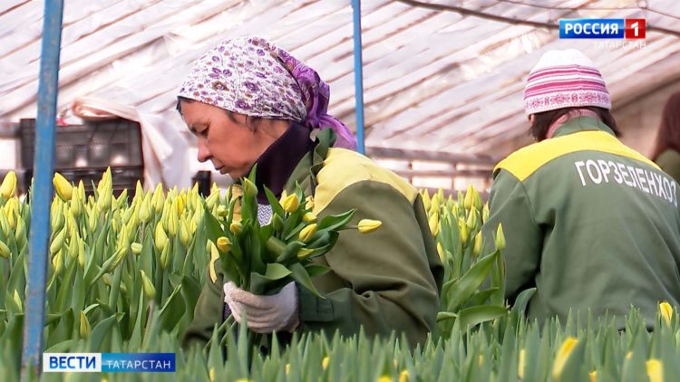 Жители Салмачи и Куюки жалуются на огромные пробки