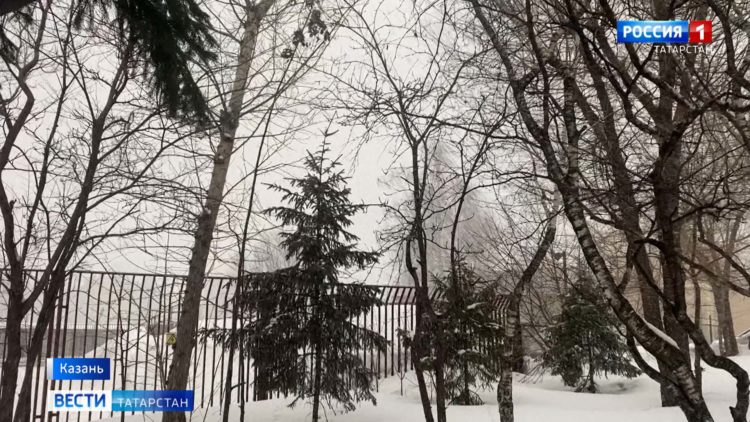 Под Чистополем при столкновении легковушки и КАМАЗа погибли пятеро взрослых и один ребенок