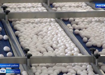 В Казани провели масштабный рейд после смертельного ДТП под Чистополем