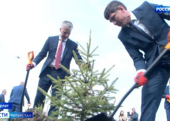 Главный парк в Нурлате украсили 100 елей