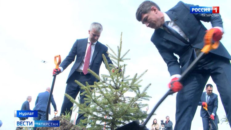 Главный парк в Нурлате украсили 100 елей