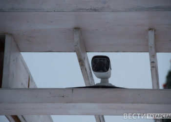 В Татарстане система «Безопасный город» стала следить за бродячими собаками