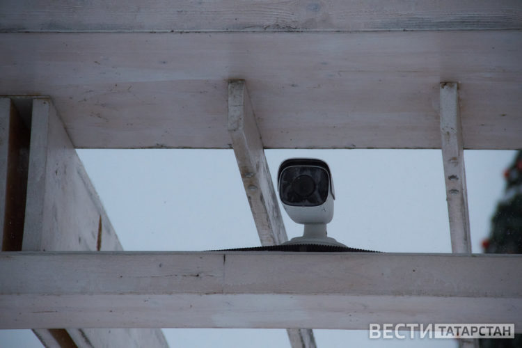 В Татарстане система «Безопасный город» стала следить за бродячими собаками