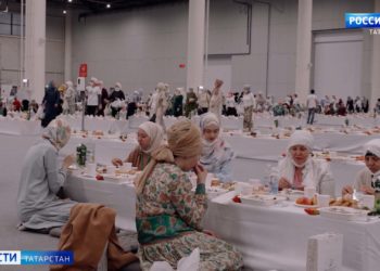 В Казани начали обрабатывать территории от мышей и крыс