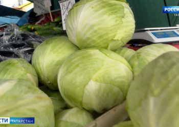 В Минсельхозпроде РТ объяснили причину роста цен на капусту