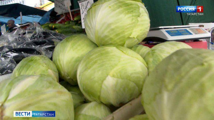 В Минсельхозпроде РТ объяснили причину роста цен на капусту