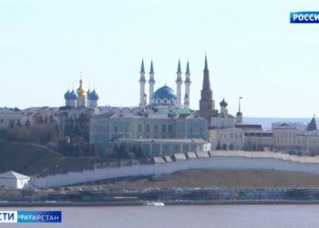 В Казани начали обрабатывать территории от мышей и крыс