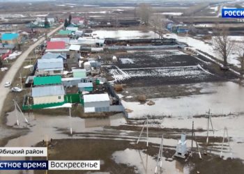 Пик паводка: за неделю от половодья пострадали восемь районов Татарстана