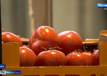 Делегация Татарстана встретилась в Ульяновске с призывниками из республики