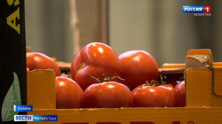 Делегация Татарстана встретилась в Ульяновске с призывниками из республики