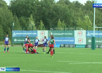 В Казани начали обрабатывать территории от мышей и крыс