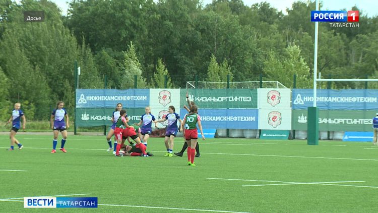 В Казани начали обрабатывать территории от мышей и крыс