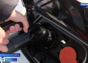 В Татарстан вернулась стая лебедей-шипунов