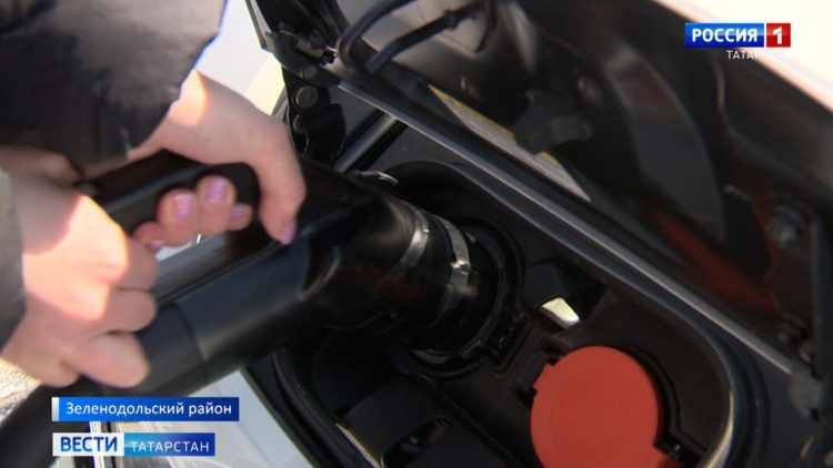 В Татарстан вернулась стая лебедей-шипунов