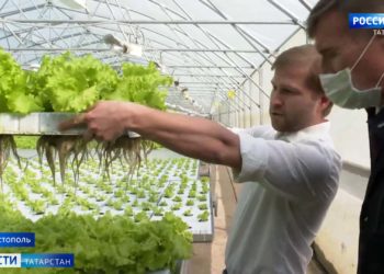 На Волге в Татарстане начался ледоход