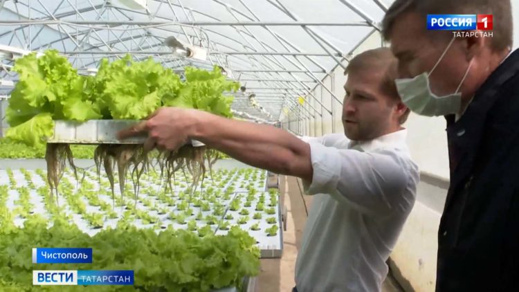 На Волге в Татарстане начался ледоход