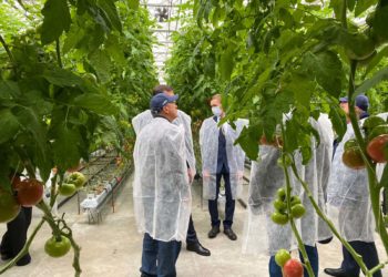 Минниханов поручил проработать вопрос по развитию тепличного комплекса в Лениногорском районе