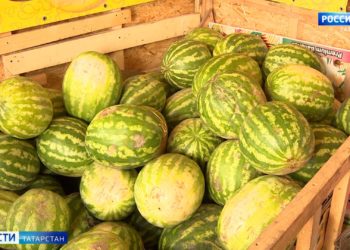 Несезонный продукт: татарстанцы начали замечать на прилавках арбузы