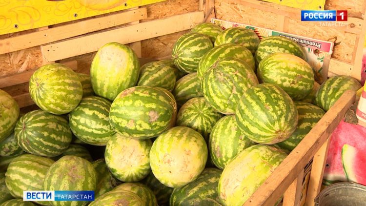Несезонный продукт: татарстанцы начали замечать на прилавках арбузы
