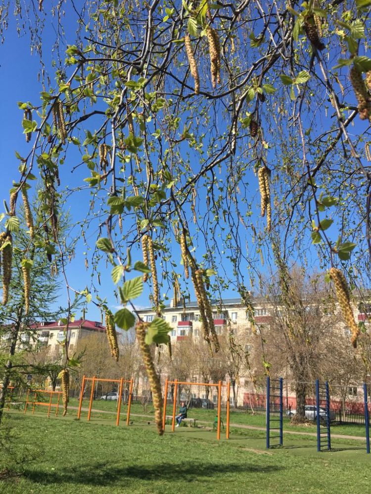 Музыкаль мизгелләр (10.05.22)