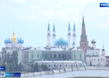 Казанцы обнаружили массовый мор рыбы на озере Лебяжьем