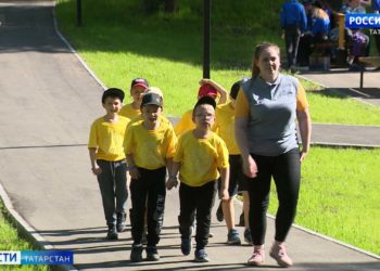 Поваленные деревья и отключение электричества: разгул сильного ветра в Татарстане