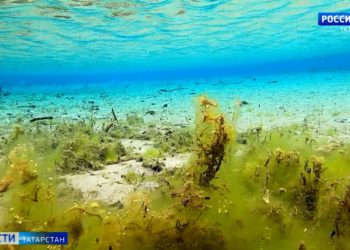 «Невозможно даже окна открывать»: Жители Пестречинского района жалуются на зловоние