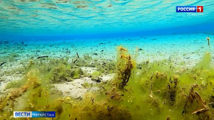 «Невозможно даже окна открывать»: Жители Пестречинского района жалуются на зловоние