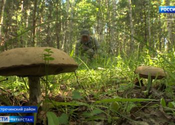 В Татарстане прошли акции ко Дню памяти и скорби