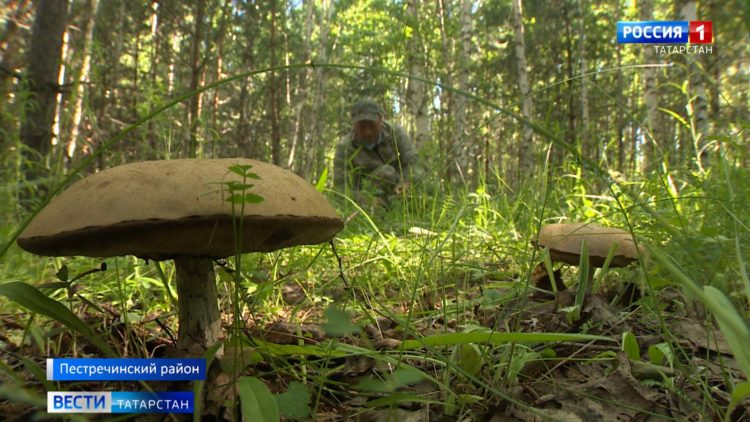 В Татарстане прошли акции ко Дню памяти и скорби