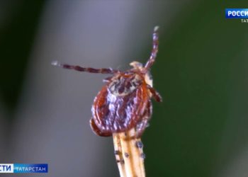 Капитальный ремонт центральной дороги в Салмачах решит проблему постоянных пробок