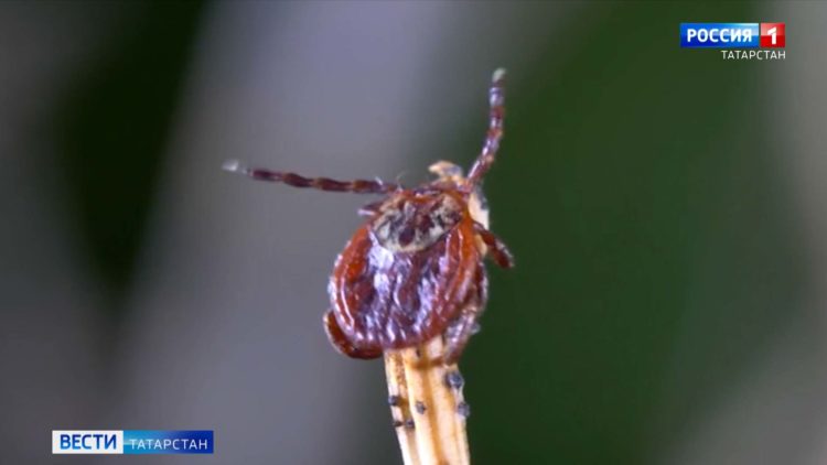Капитальный ремонт центральной дороги в Салмачах решит проблему постоянных пробок